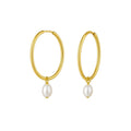 14K Yellow Gold Pearl Drop Oval Earrings